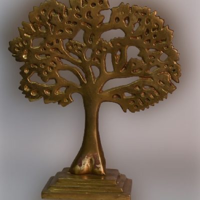 Bodhi Tree for Buddha