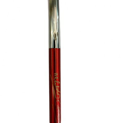 Personalized Pen with Stylus with Dr. Ambedkar Signature Ball Pen Engraved